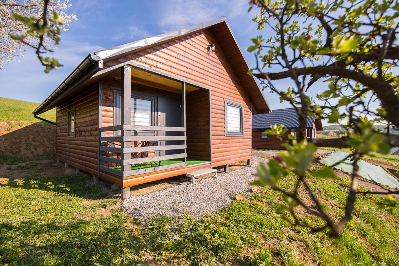 Pod Roztoczka Lodge Hoczew