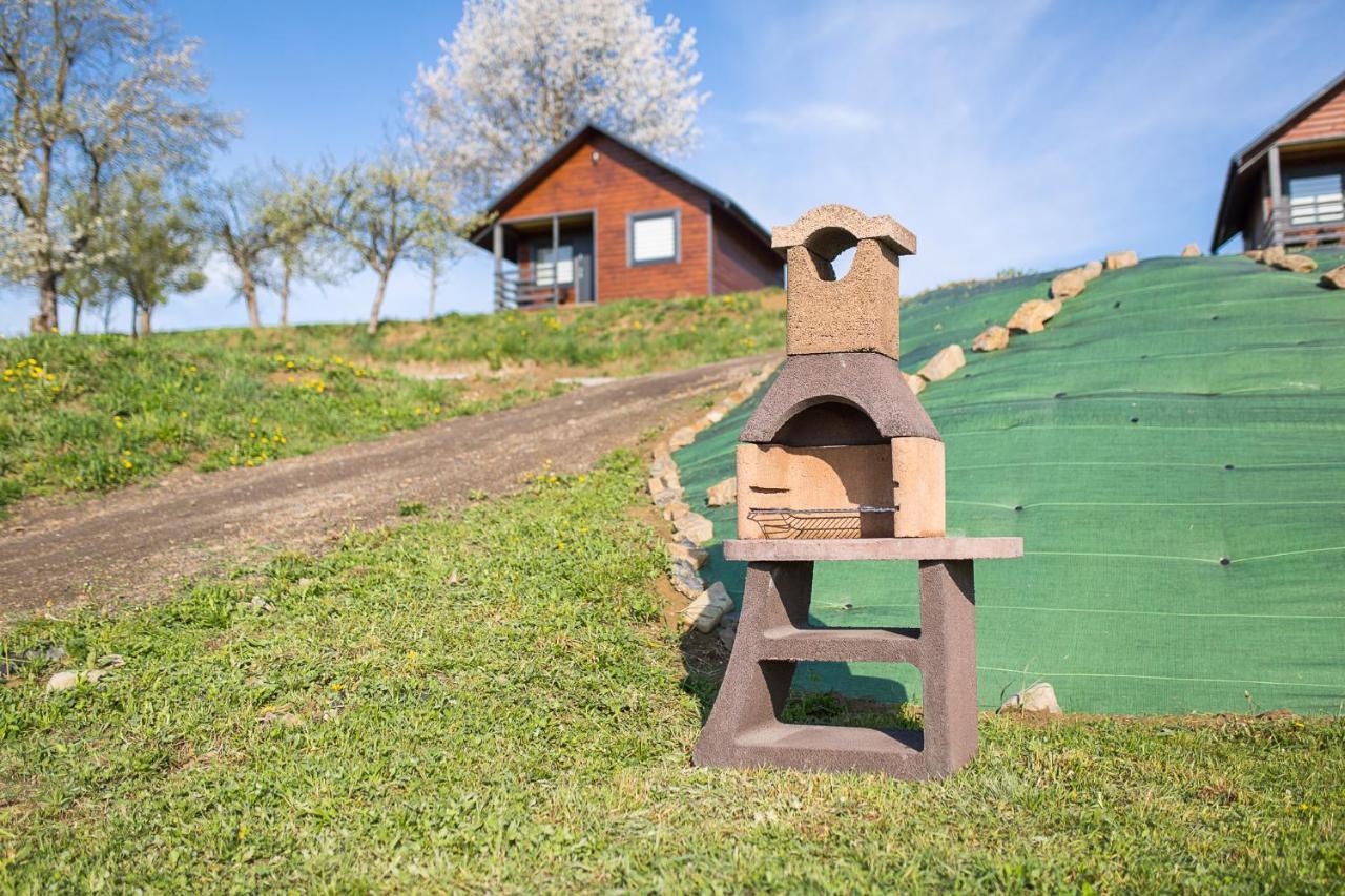 Pod Roztoczka Lodge Hoczew